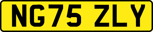 NG75ZLY