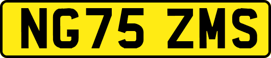 NG75ZMS