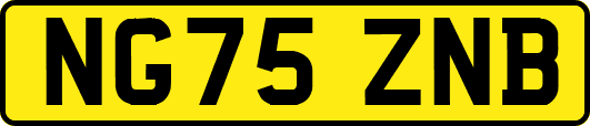 NG75ZNB