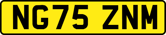 NG75ZNM