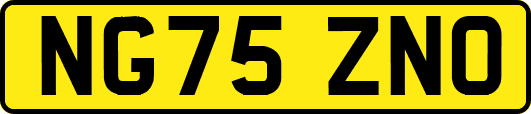 NG75ZNO