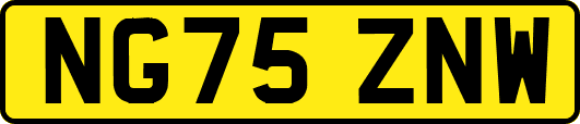 NG75ZNW