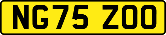 NG75ZOO