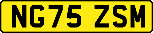 NG75ZSM