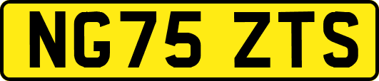 NG75ZTS
