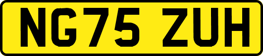 NG75ZUH