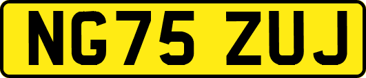 NG75ZUJ