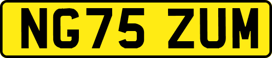 NG75ZUM