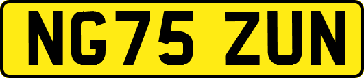 NG75ZUN