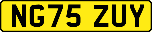 NG75ZUY