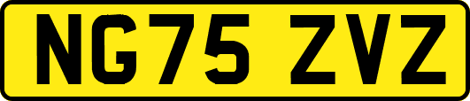 NG75ZVZ