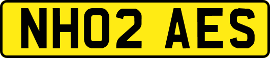 NH02AES