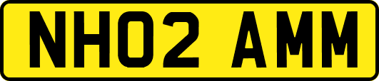 NH02AMM