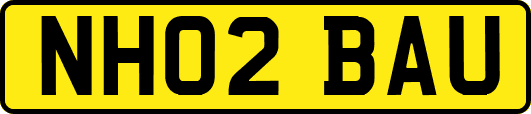 NH02BAU
