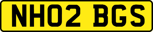 NH02BGS