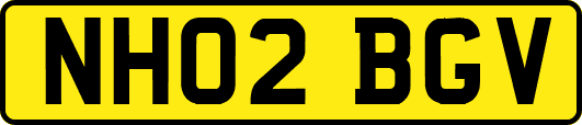 NH02BGV