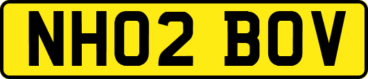 NH02BOV