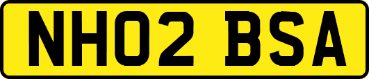 NH02BSA