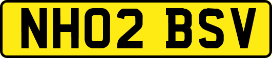 NH02BSV