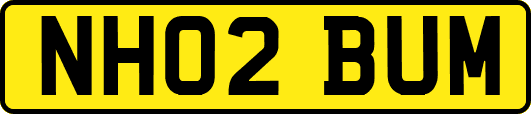 NH02BUM