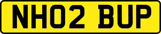 NH02BUP
