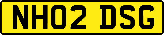 NH02DSG