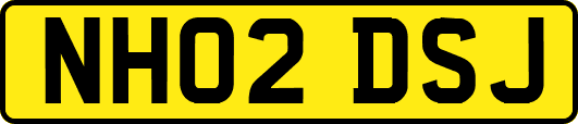 NH02DSJ