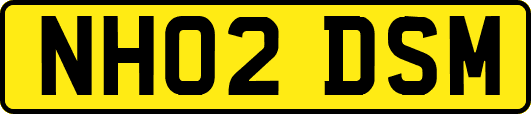 NH02DSM