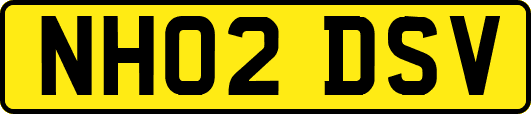 NH02DSV