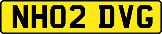 NH02DVG