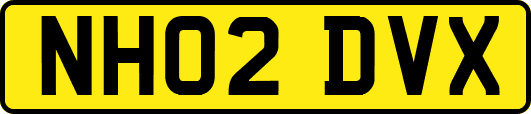 NH02DVX