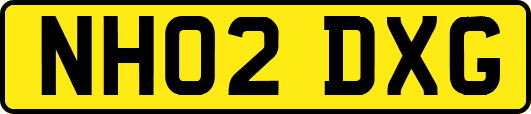 NH02DXG
