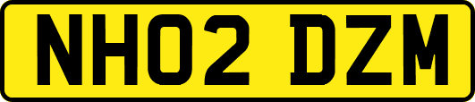 NH02DZM