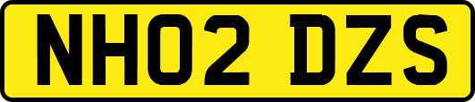 NH02DZS