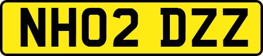 NH02DZZ