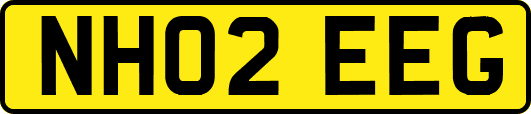 NH02EEG