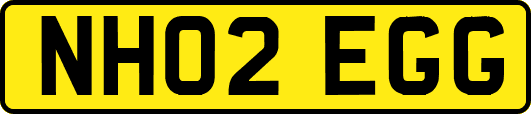 NH02EGG