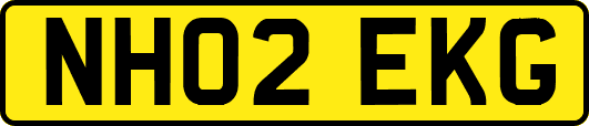 NH02EKG