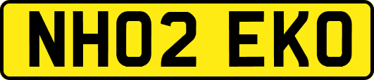 NH02EKO