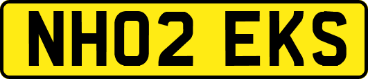 NH02EKS