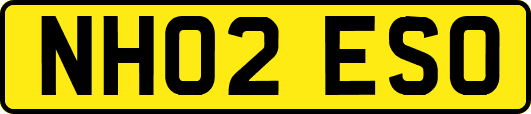 NH02ESO