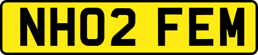 NH02FEM