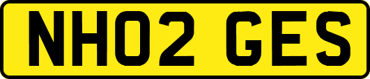 NH02GES