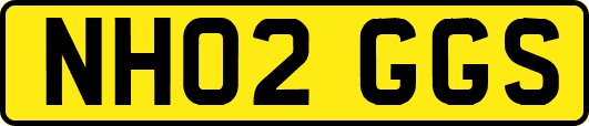 NH02GGS