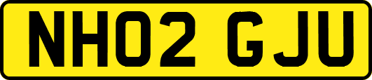 NH02GJU