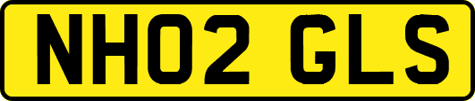 NH02GLS