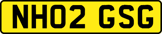 NH02GSG