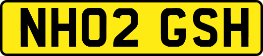 NH02GSH