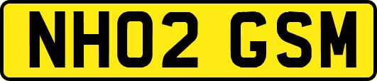 NH02GSM