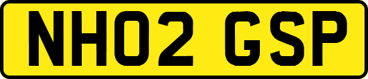 NH02GSP